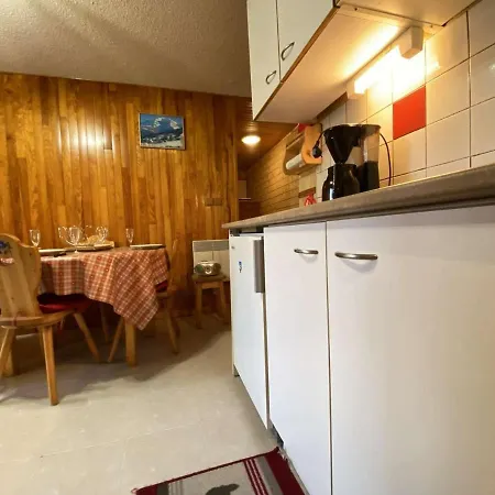Apartment Cosy 6 Pers, Praz-sur-arly, Navette Gratuite, Parking, Animaux Admis - Fr-1-603-43 *